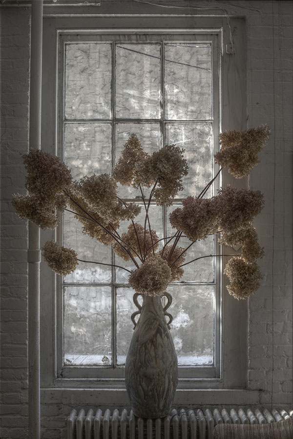 HDR False Color Image of a Large Vase with Dried Flowers in a Window
